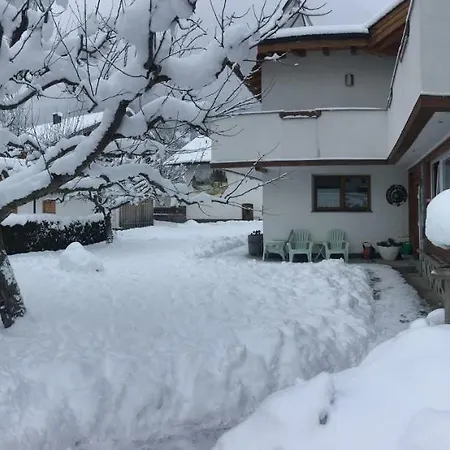 Elisabeth Inklusive Summer Card *